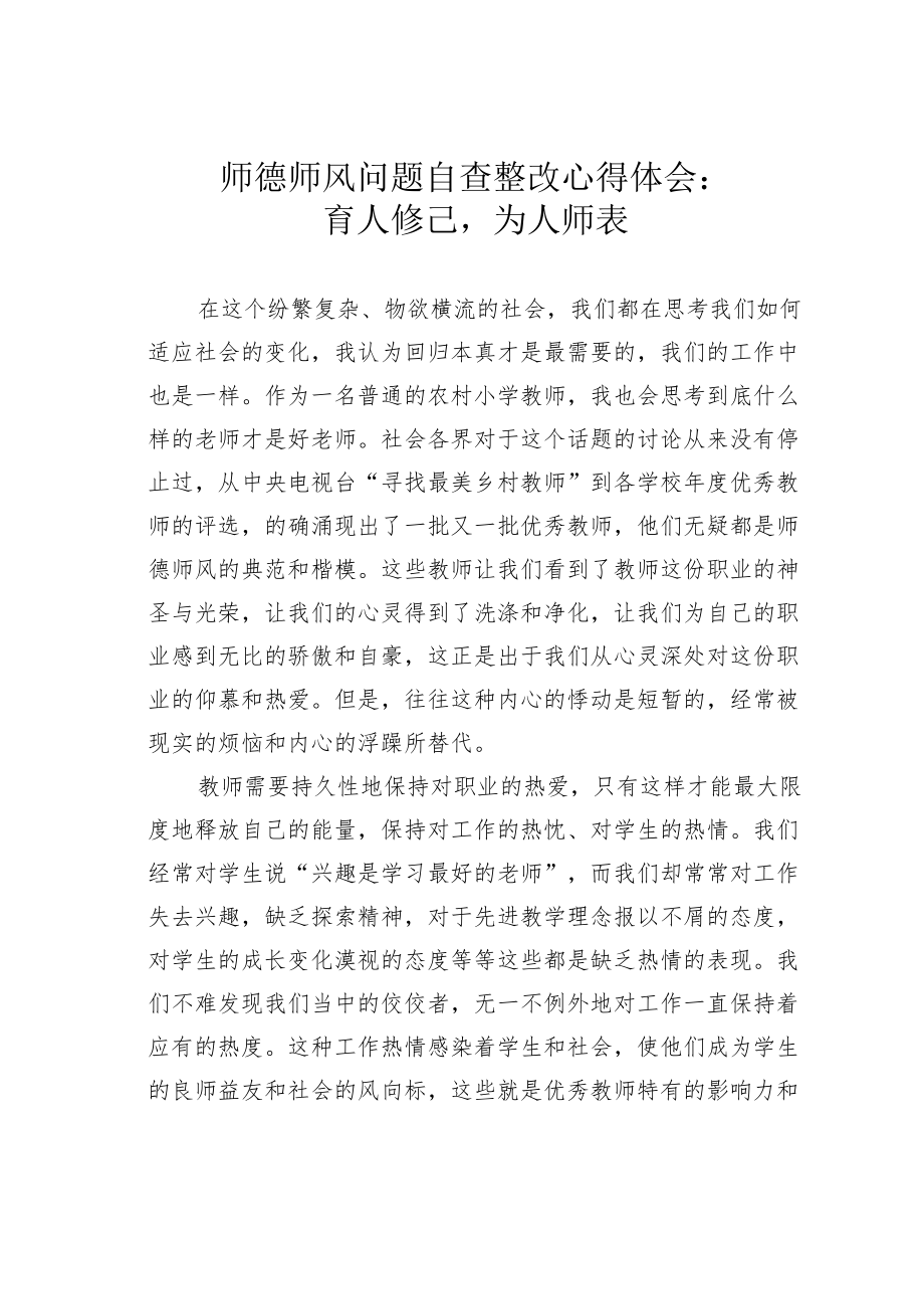 师德师风问题自查整改心得体会：育人修己为人师表.docx_第1页