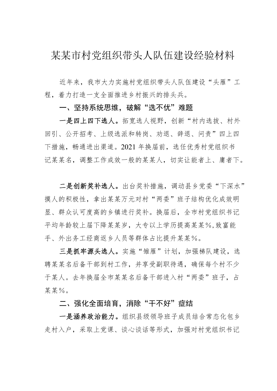 某某市村党组织带头人队伍建设经验材料.docx_第1页