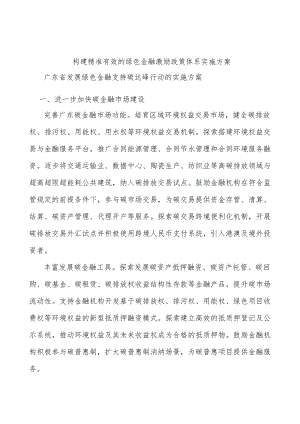 构建精准有效的绿色金融激励政策体系实施方案.docx