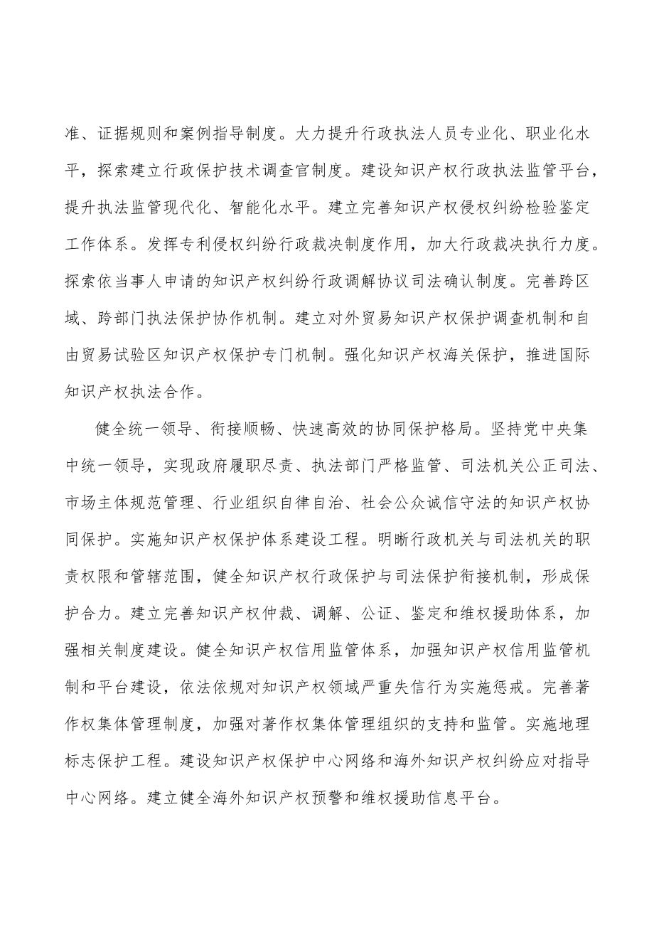 建设支撑国际一流营商环境的知识产权保护体系.docx_第2页