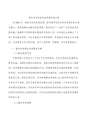 强化养老财政资金保障实施方案.docx