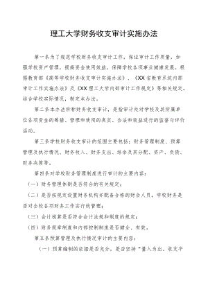 理工大学财务收支审计实施办法.docx