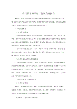 公司领导班子运行情况自评报告.docx