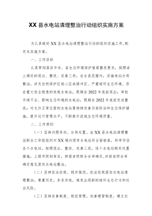 XX县水电站清理整治行动组织实施方案.docx