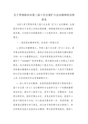 关于贯彻落实市委三届十次全委扩大会议精神的安排意见.docx