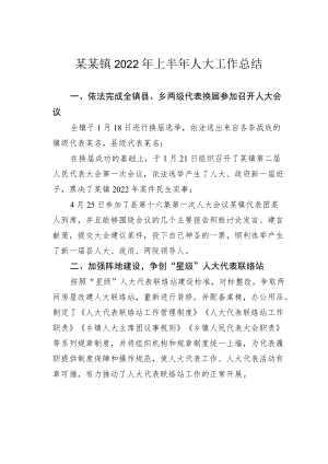 某某镇2022上半人大工作总结.docx