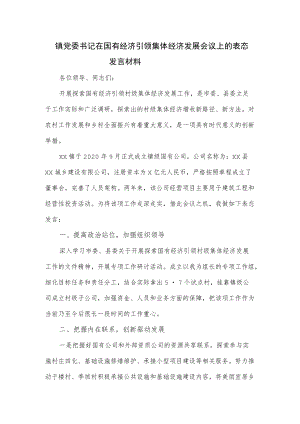 镇党委书记在国有经济引领集体经济发展会议上的表态发言材料（仅供学习）.docx