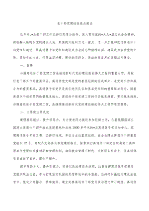 老干部党建经验亮点做法.docx