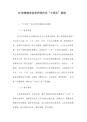 XX市推进农业农村现代化“十四五”规划.docx