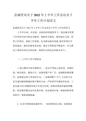 县城管局关于2022上半工作总结及下半工作计划范文.docx