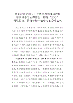 某某街道党建专干专题学习和廉政教育培训班学习心得体会：磨炼“三心” 汲取经验绘就轻干部坚实的奋斗底色.docx