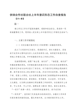 供销合作社联合社上半意识形态工作自查报告.docx