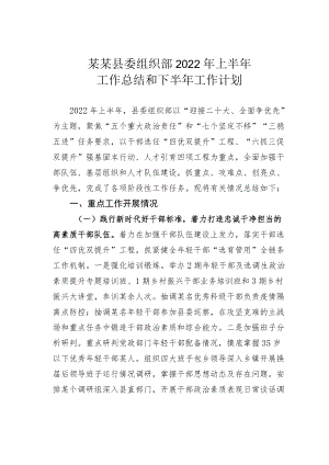 某某县委组织部2022上半工作总结和下半工作计划.docx