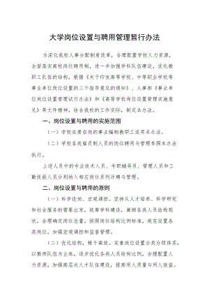 大学岗位设置与聘用管理暂行办法.docx