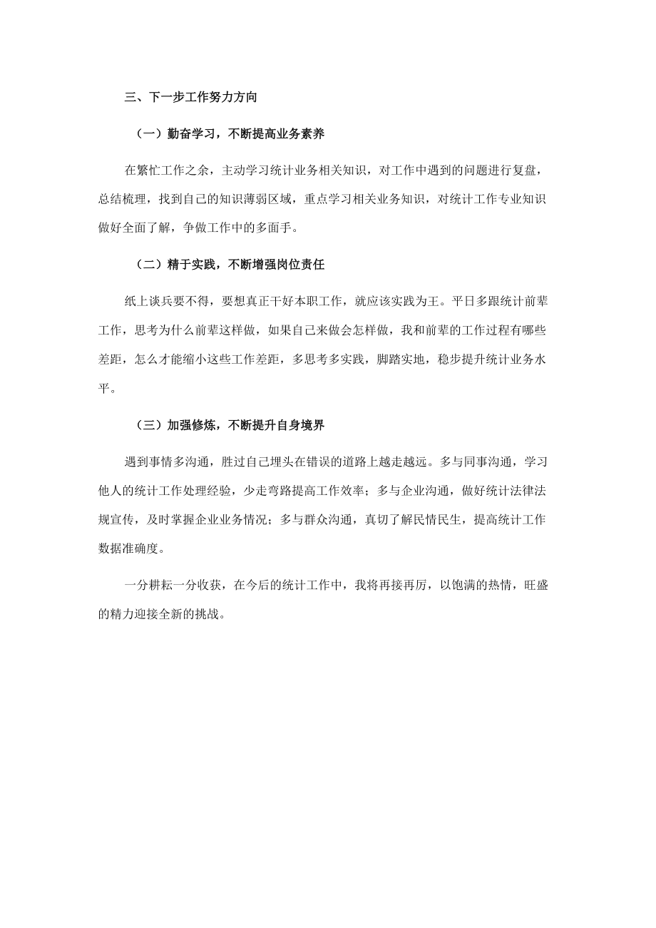 统计系统新进工作人员个人总结.docx_第3页