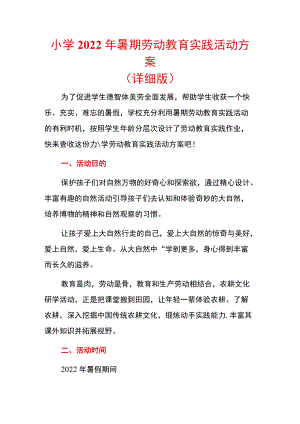 小学2022暑期劳动教育实践活动方案（详细版）.docx