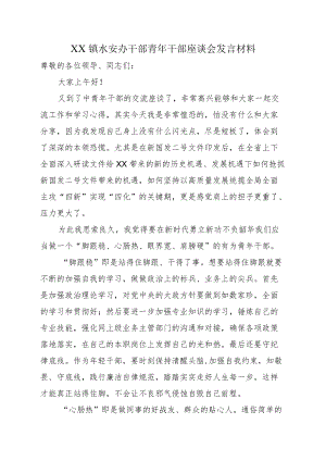 XX镇水安办干部青干部座谈会发言材料.docx