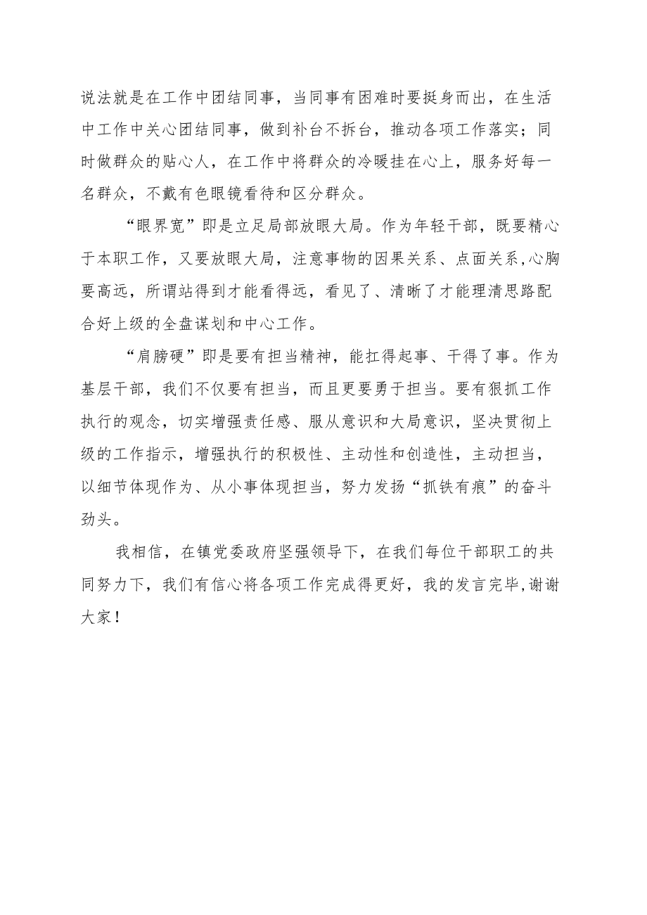 XX镇水安办干部青干部座谈会发言材料.docx_第2页