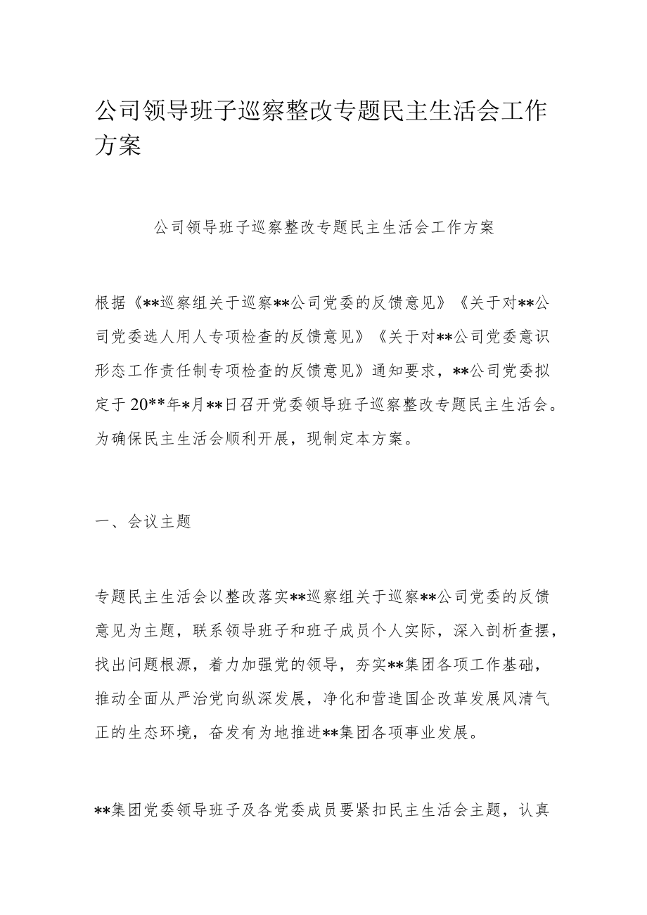 公司领导班子巡察整改专题民主生活会工作方案.docx_第1页