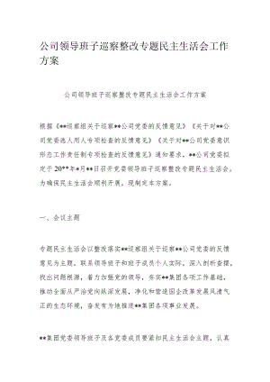 公司领导班子巡察整改专题民主生活会工作方案.docx