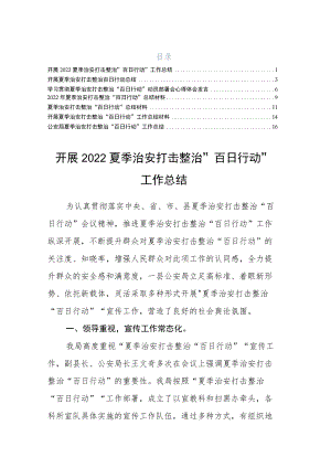 公安局夏季治安打击整治“百日行动”工作总结供阅读.docx