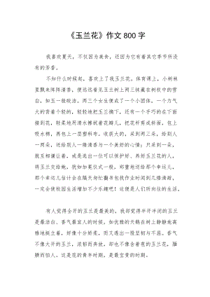 《玉兰花》作文800字.docx