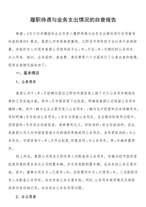 履职待遇与业务支出情况的自查报告.docx