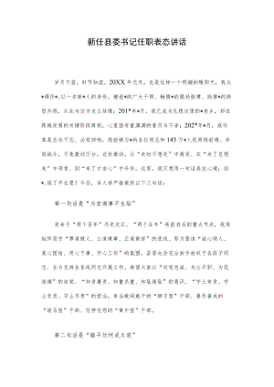 新任县委书记任职表态讲话.docx