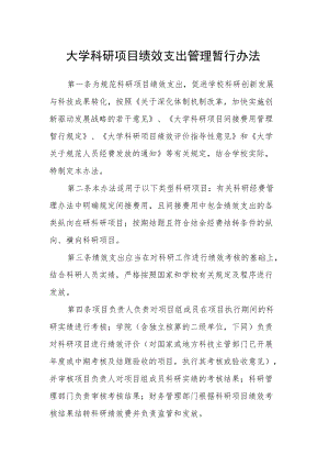 大学科研项目绩效支出管理暂行办法.docx