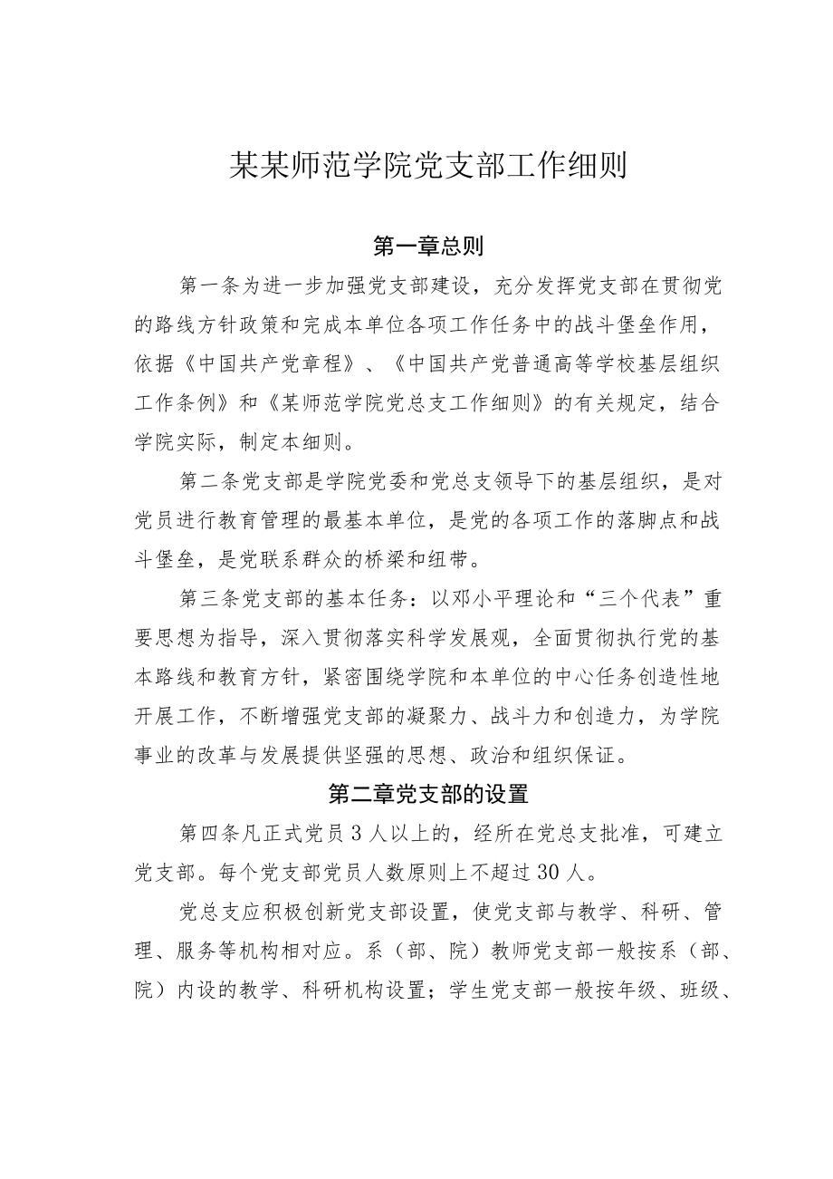 某某师范学院党支部工作细则.docx_第1页