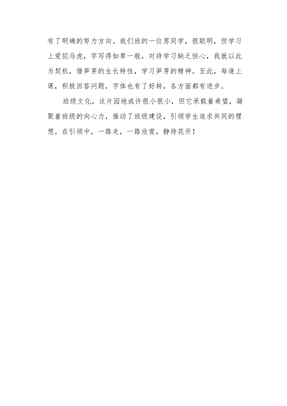 班主任经验交流材料《精神引领静待花开》.docx_第3页