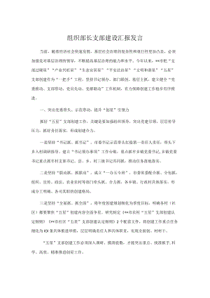 组织部长支部建设汇报发言.docx