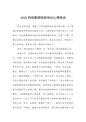 2022特岗教师岗前培训心得体会六篇.docx