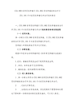 宫颈癌放疗同步化疗临床路径说明.docx