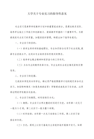 大学关于专业实习的指导性意见.docx