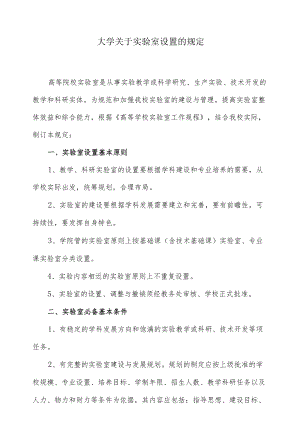 大学关于实验室设置的规定.docx