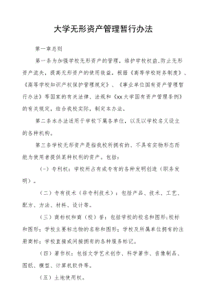 大学无形资产管理暂行办法.docx