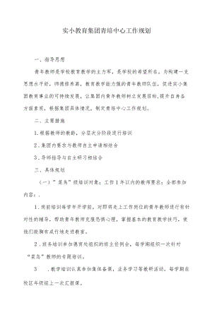 实小教育集团青培中心工作规划.docx