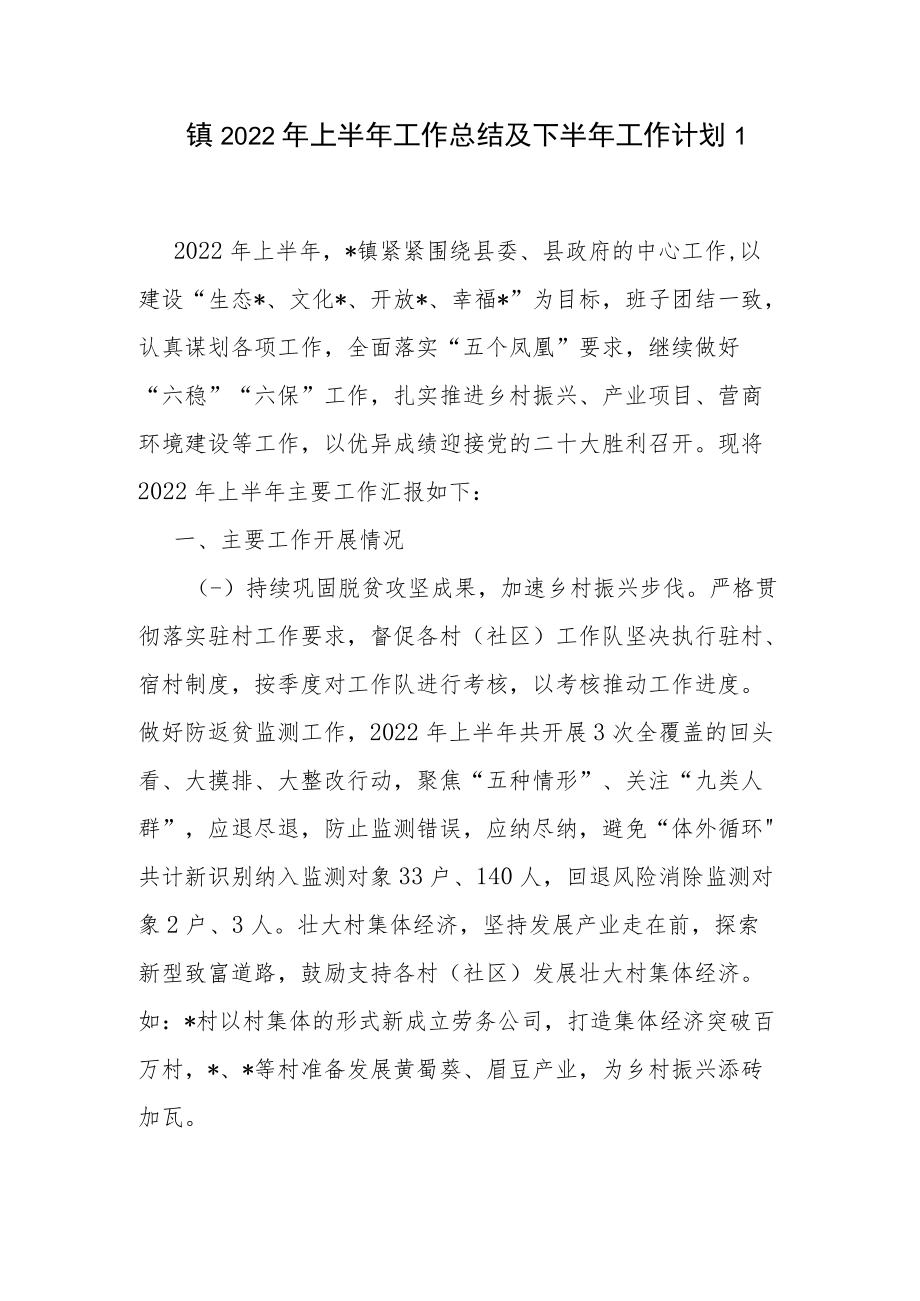 2022上半乡镇工作总结及下半工作计划打算2篇.docx_第2页