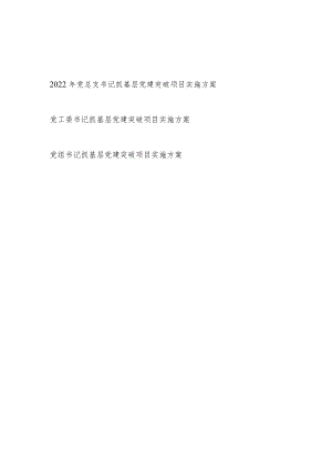 2022整理党总支党工委党组书记抓基层党建突破项目实施方案3篇.docx