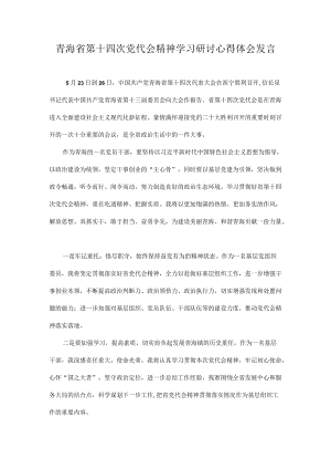 2022学习贯彻青海省第十四次党代会精神专题研讨心得体会发言 10篇.docx