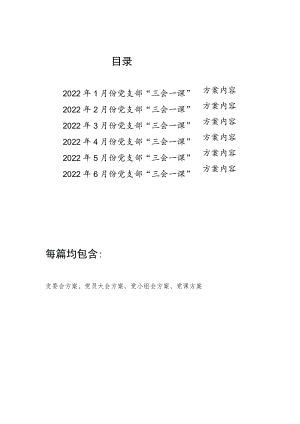 20221-6月份一至六月份党支部“三会一课”方案内容汇编（含支委会方案、党员大会方案、党小组会方案、党课方案）.docx