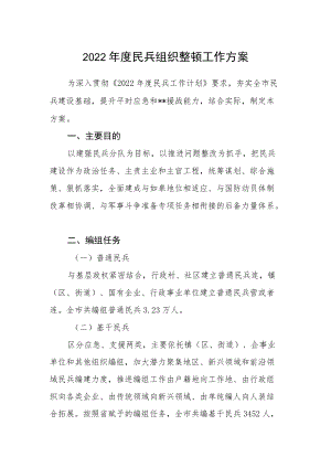 2022民兵组织整顿工作方案.docx