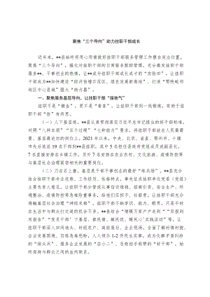 【经验总结】聚焦“三导向”助推挂职干部成长.docx