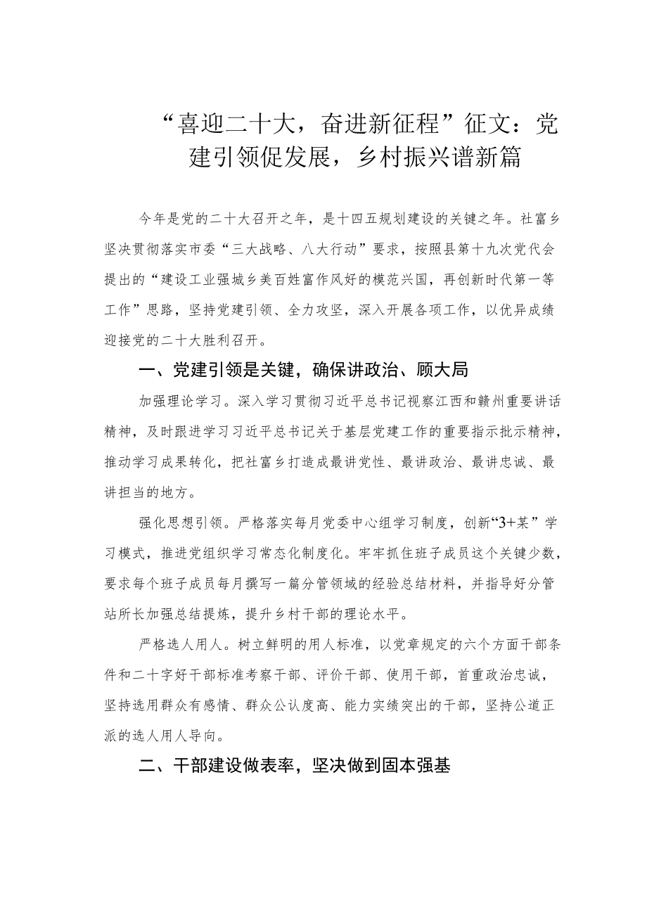 “喜迎二十大奋进新征程”征文：党建引领促发展乡村振兴谱新篇.docx_第1页