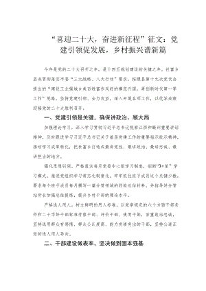 “喜迎二十大奋进新征程”征文：党建引领促发展乡村振兴谱新篇.docx