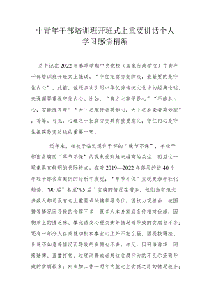 中青干部培训班开班式上重要讲话个人学习感悟精编.docx