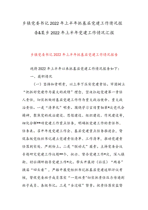 乡镇党委书记2022上半抓基层党建工作情况报告 & 某乡2022上半党建工作情况汇报.docx