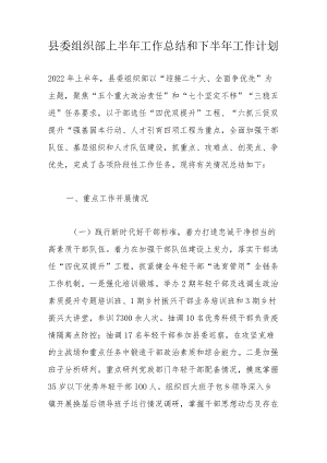 县委组织部上半工作总结和下半工作计划.docx