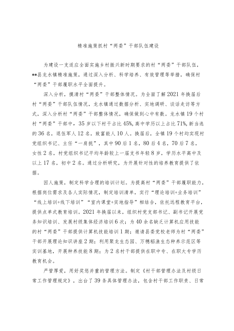 【经验总结】精准施策抓村“两委”干部队伍建设.docx_第1页